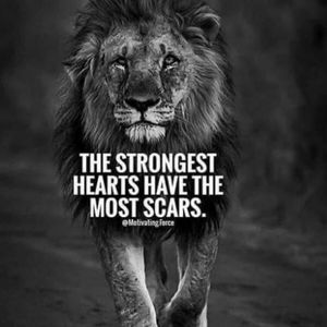 Meet your Posher, Donnell